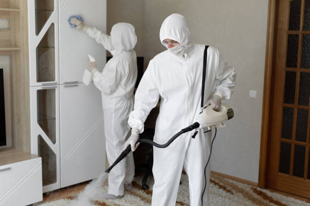 Mold Removal Process in Chisago City, MN