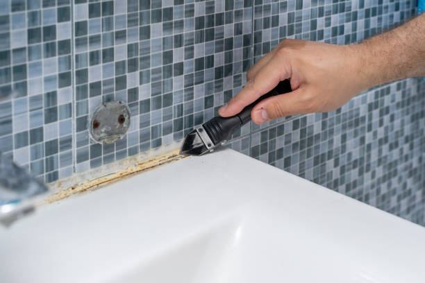 Best Mold Removal and Inspection  in Chisago City, MN
