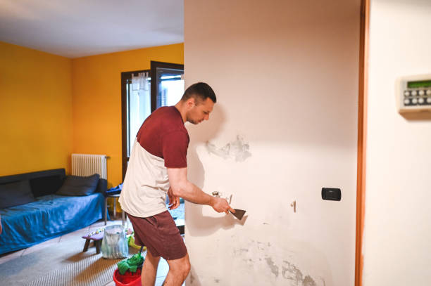 Best Crawl Space Mold Removal  in Chisago City, MN